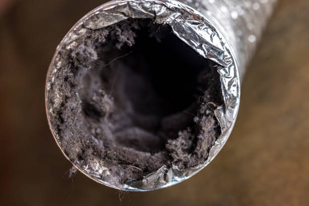 Best General Air Duct Cleaning  in Burlington, WI