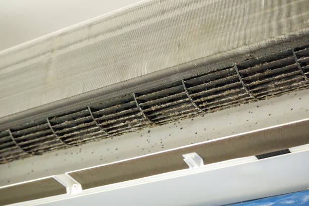 Best Residential Air Duct Cleaning  in Burlington, WI