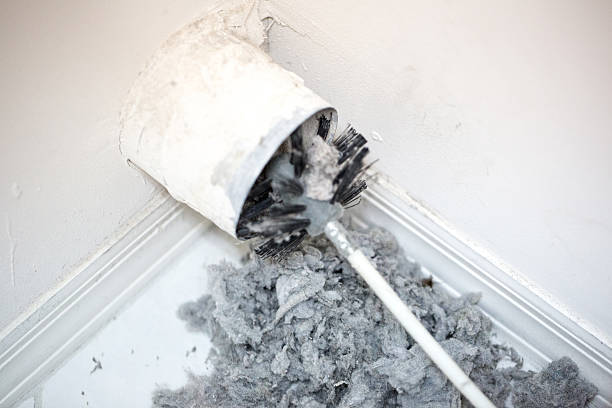 Best Home Air Vent Cleaning  in Burlington, WI